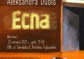 Plakat zapraszający na wystawę malarstwa Aleksandry Bubis "Echa".