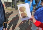 Zdjęcia ze spaceru "Herby Piotrkowa".